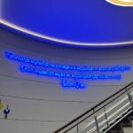 Pelin Uluksar Instagram - “Zaferin Rengi” filmimizdeki futbolcularımızın giydiği formayla Şükrü Saraçoğlu’ndaydık. Yaşa Fenerbahçe! 💙💛🧿
