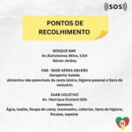 Pepita Instagram - O Rio Grande do Sul precisa de todos nós! Esse momento é de unirmos forças para ajudarmos a população do RS, os animais e cada município afetado por essa tragédia. Ajude da forma que você puder, seja em doação em dinheiro, em doação de itens, em doação do seu tempo como um voluntário ou simplesmente compartilhando informações reais sobre o que está acontecendo. Neste post, deixei o PIX de instituições confiáveis e locais que estão recebendo doações! Vamos juntos nessa corrente do bem! #SOSRIOGRANDEDOSUL