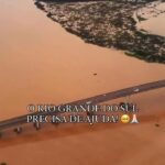 Pepita Instagram - O Rio Grande do Sul precisa de todos nós! Esse momento é de unirmos forças para ajudarmos a população do RS, os animais e cada município afetado por essa tragédia. Ajude da forma que você puder, seja em doação em dinheiro, em doação de itens, em doação do seu tempo como um voluntário ou simplesmente compartilhando informações reais sobre o que está acontecendo. Neste post, deixei o PIX de instituições confiáveis e locais que estão recebendo doações! Vamos juntos nessa corrente do bem! #SOSRIOGRANDEDOSUL