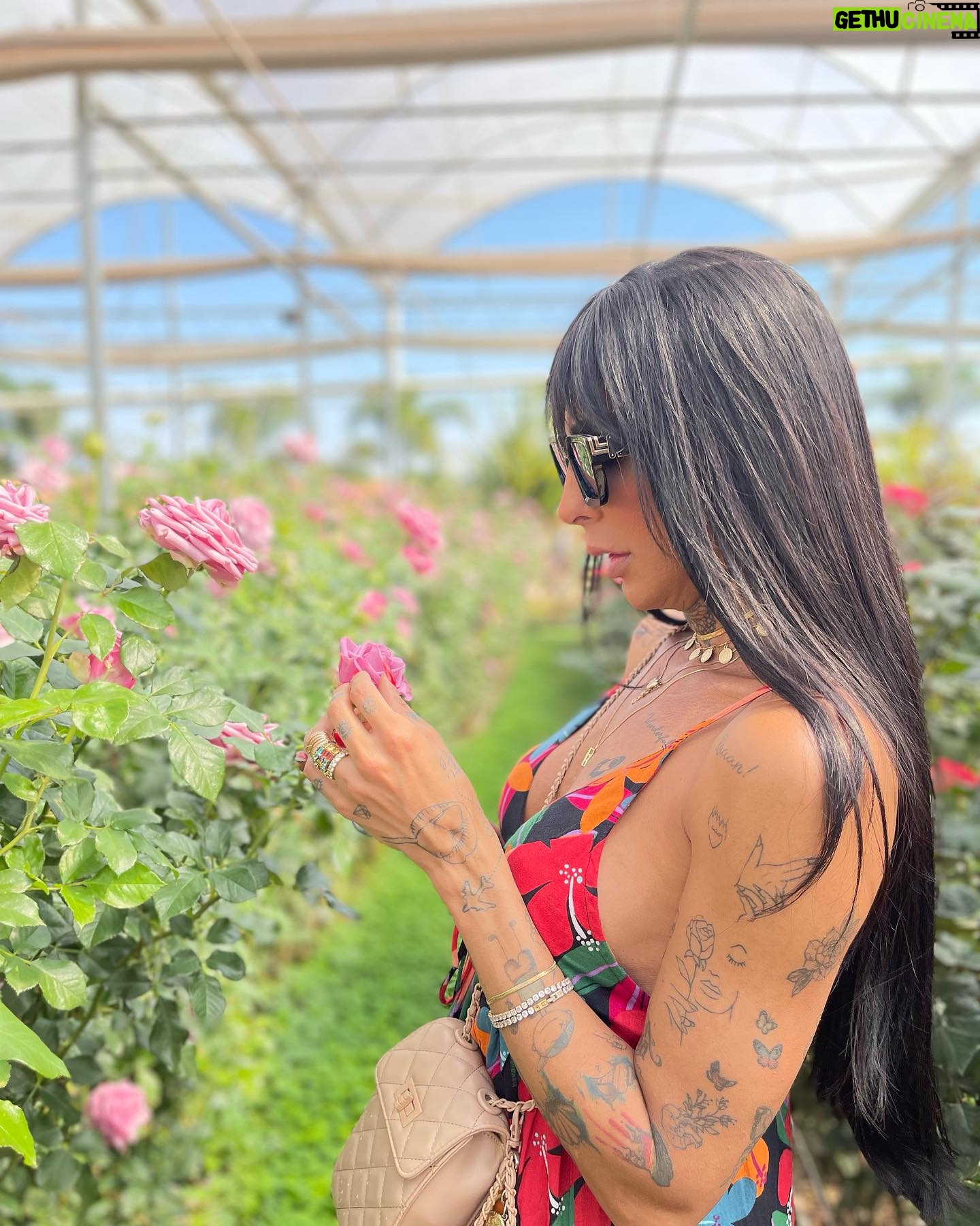 Pepita Instagram - A Serena está diferente né? Kk. Eu acho que todos os momentos você pode ser como a rosa mais linda do jardim, só não pode esquecer que apesar de suas pétalas serem aparentemente frágeis e delicadas você também tem espinhos e é muito mais forte do que pensa. Acredite em você sempre. ❤️❤️❤️✨