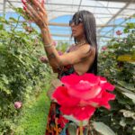 Pepita Instagram – A Serena está diferente né? Kk. Eu acho que todos os momentos você pode ser como a rosa mais linda do jardim, só não pode esquecer que apesar de suas pétalas serem aparentemente frágeis e delicadas você também tem espinhos e é muito mais forte do que pensa. Acredite em você sempre. ❤️❤️❤️✨