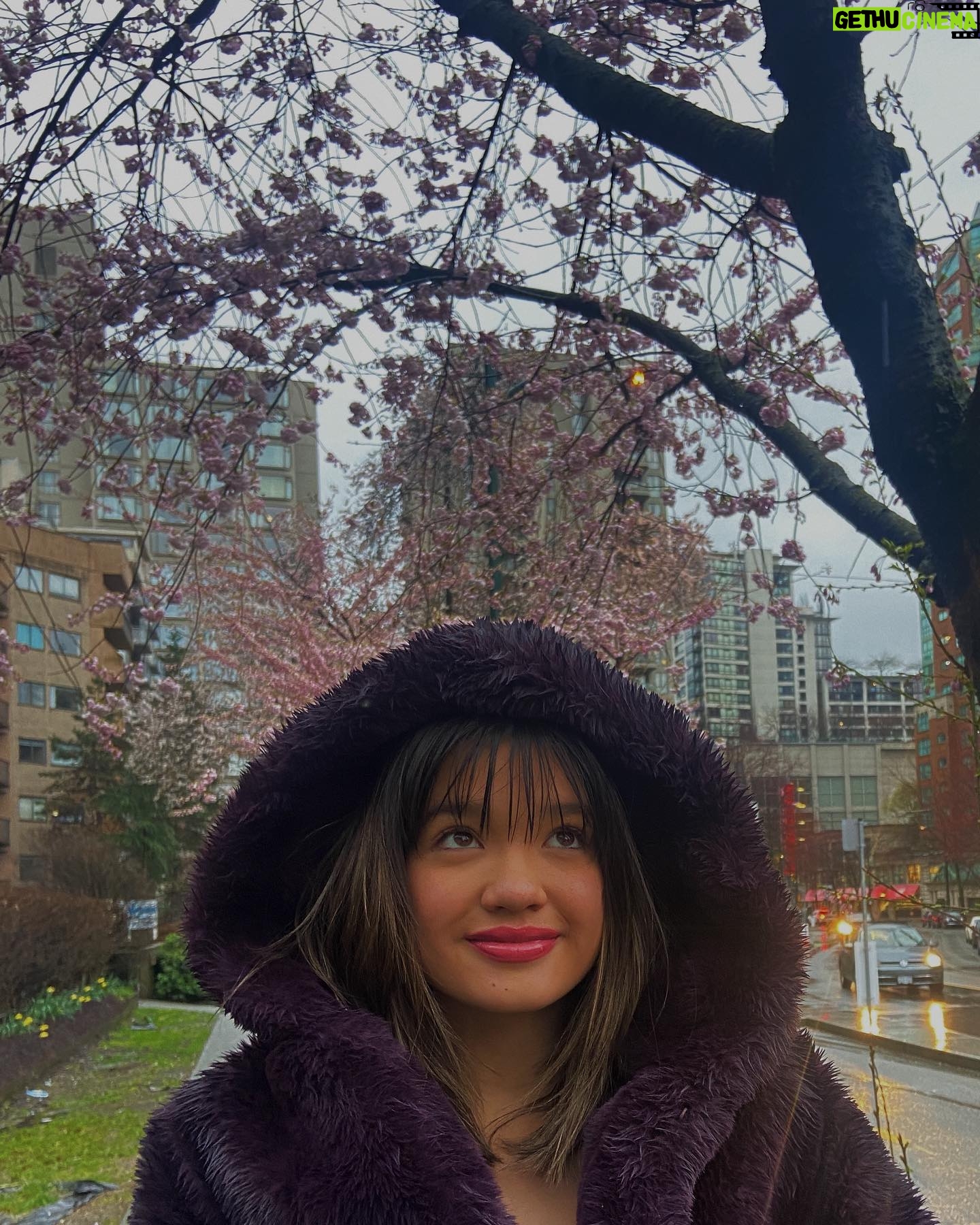 Peyton Elizabeth Lee Instagram - Canada, eh?