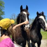 Peyton Elizabeth Lee Instagram - Happy little farm, happy little life