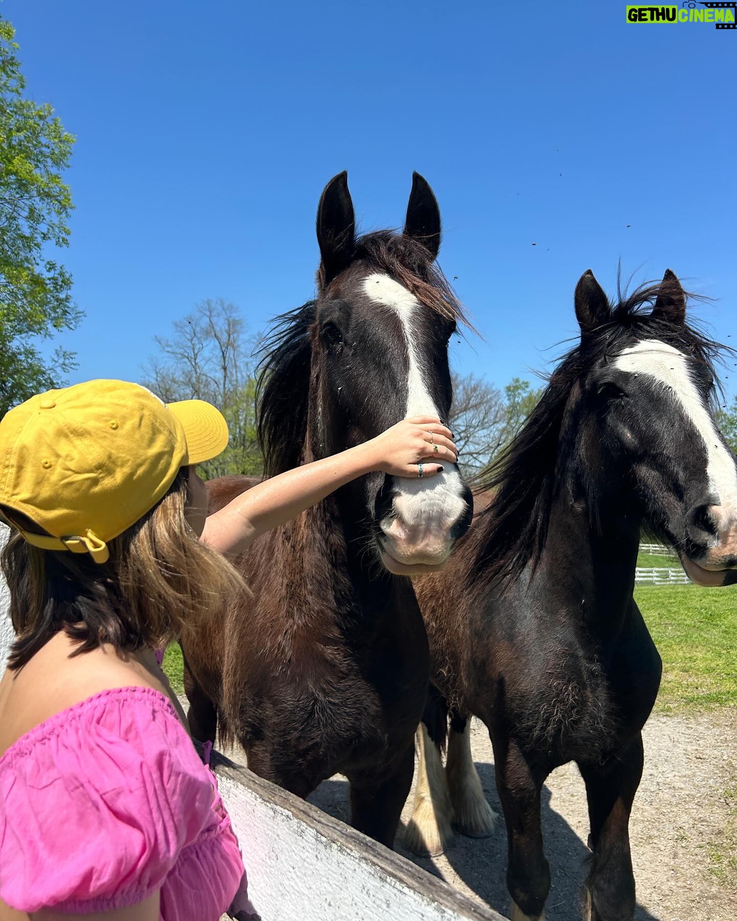 Peyton Elizabeth Lee Instagram - Happy little farm, happy little life