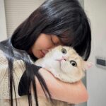 Ping-Ya Tai Instagram - 520 謝謝陪伴 我的寶 阿甜：那我呢