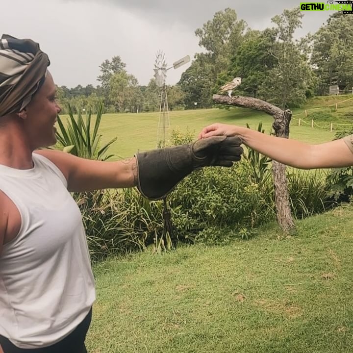 Pink Instagram - Its an absolute JOY to travel with my kids and be able to show them different lands and customs and culture and peoples and animals. Today was our second time visiting @lonepinekoala and it was amazing to understand and learn so much about koalas, Roos, dingos and raptors. For instance- barn owls fly silently and falcons are the fastest animal on Earth. Clocking in at 241 mph in flight. That’s fast. Also, barn owls enjoy being sung to, while kangaroos really just prefer grass and quiet time. And these tiny, brown, round balls in the field aren’t chocolate like @hartluck said they were.