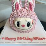 Pinyadar Salinvarradar Instagram - วันเกิดปีนี้มีน้องลิ้นจี่เป็นของตัวเองแล้ว 🥹🥰💝🎂