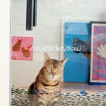 Ploi Horwang Instagram - อยากหนีออกจากบ้านเว้ยยยยยย #otorothecat