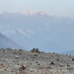 Ploypailin Thangprapaporn Instagram – หมอชิต สู่ everest base camp ถึงละจ้าาาา 
แต่!
ยังไม่จบ.. ไปต่อกันที่เขาไกรราช เพื่อลองเดิน“โครา“ รูปแบบการแสวงบุญของชาวทิเบตตตต ❤️