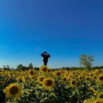Ployshompoo Supasap Instagram – 🌻 บ้ายบายปีเก่า ขอบคุณทุกเรื่องราวที่เกิดขึ้น เป็นปีที่อีโมมากๆ หลายเหตุการณ์ทำให้ได้คุยกับตัวเอง ได้ทบทวนอะไรหลายอย่าง ได้เรียนรู้ และปล่อยวางได้หลายเรื่อง ขอบคุณทุกประสบการณ์ ทั้งดีและร้าย แต่ไม่ต้องร้ายมากก็ได้งับพี่ นุท่อแทร่ แต่ทุกสิ่งคือบทเรียน ที่สำคัญเลยคือคนรอบข้าง ทั้งครอบครัว เพื่อน พี่ๆน้องๆ แจนนิเวิสและทุกๆคนที่ให้การสนับสนุนแจนมาตลอด ปีนี้ไม่แย่นัก ยังมีสิ่งที่น่ารักอยู่ ยังไงก็ขอบคุณจริงๆฮะ ปีนี้มาร่วมทางกันต่อ จับมือกันไปนานๆนะ สวัสดีปีใหม่ค่ะ #HNY2024 💜✨