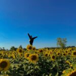 Ployshompoo Supasap Instagram – 🌻 บ้ายบายปีเก่า ขอบคุณทุกเรื่องราวที่เกิดขึ้น เป็นปีที่อีโมมากๆ หลายเหตุการณ์ทำให้ได้คุยกับตัวเอง ได้ทบทวนอะไรหลายอย่าง ได้เรียนรู้ และปล่อยวางได้หลายเรื่อง ขอบคุณทุกประสบการณ์ ทั้งดีและร้าย แต่ไม่ต้องร้ายมากก็ได้งับพี่ นุท่อแทร่ แต่ทุกสิ่งคือบทเรียน ที่สำคัญเลยคือคนรอบข้าง ทั้งครอบครัว เพื่อน พี่ๆน้องๆ แจนนิเวิสและทุกๆคนที่ให้การสนับสนุนแจนมาตลอด ปีนี้ไม่แย่นัก ยังมีสิ่งที่น่ารักอยู่ ยังไงก็ขอบคุณจริงๆฮะ ปีนี้มาร่วมทางกันต่อ จับมือกันไปนานๆนะ สวัสดีปีใหม่ค่ะ #HNY2024 💜✨