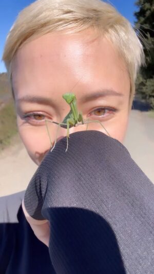 Pom Klementieff Instagram - I found a praying Mantis while on a hike 👽💚 #pomantis