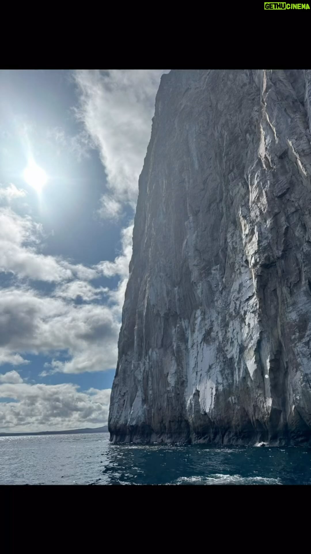 Pom Klementieff Instagram - Galápagos ✨
