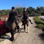 Portia de Rossi Instagram - She tolted! Ellen and I on the trail #icelandichorse #trailride #tolting @sanmarcostraining @noellewolflingerie