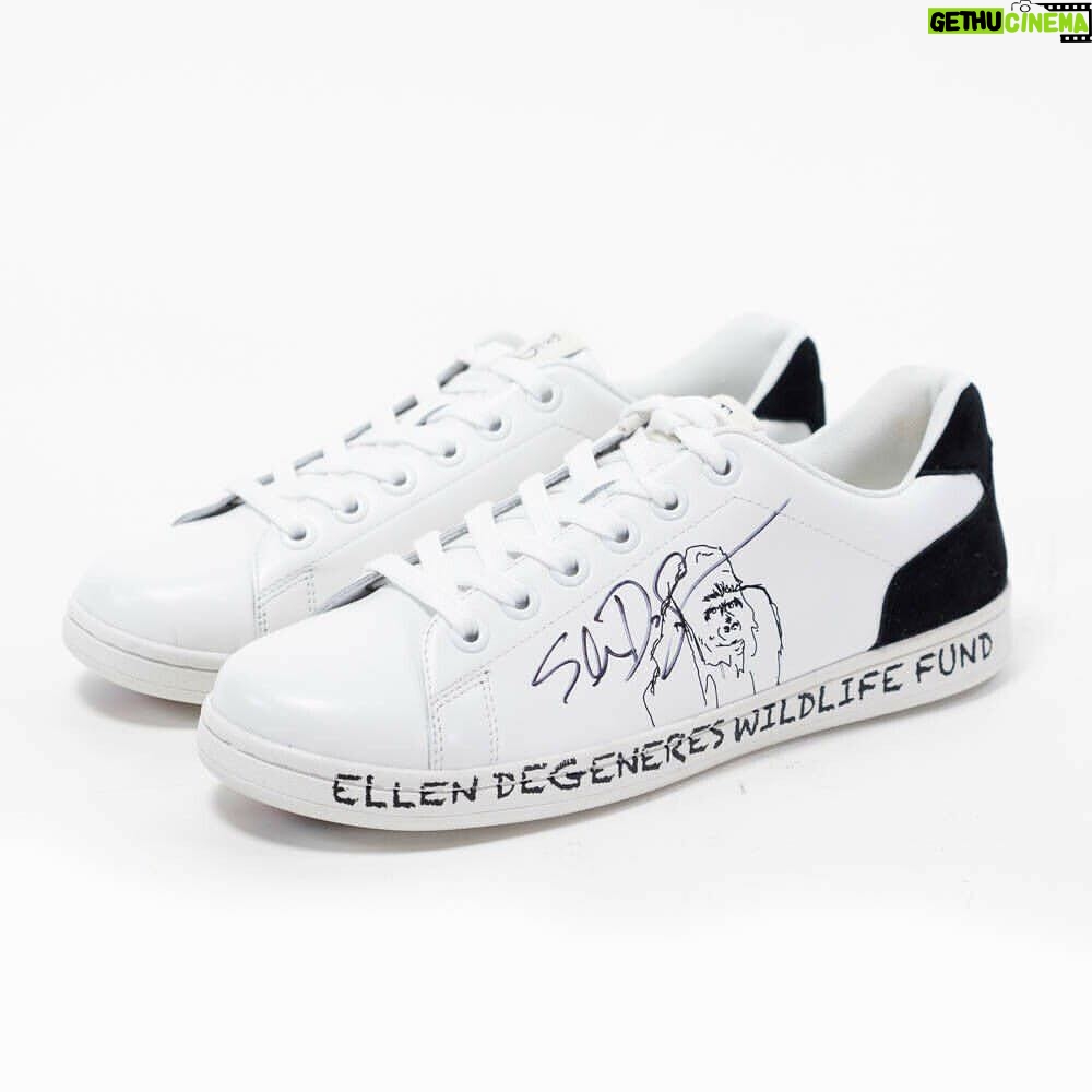 Portia de Rossi Instagram - Help the gorillas -and- get a custom pair of @EDbyEllen shoes signed by me! Head to the link in bio and bid at @ebay – all proceeds benefit @theellenfund! #edbyellen
