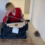 Portia de Rossi Instagram - Me vs dog crate—thanks @nlw22_4 for humiliating rather than helping @noellewolflingerie (but at least you make GREAT lingerie!!)