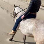 Portia de Rossi Instagram -