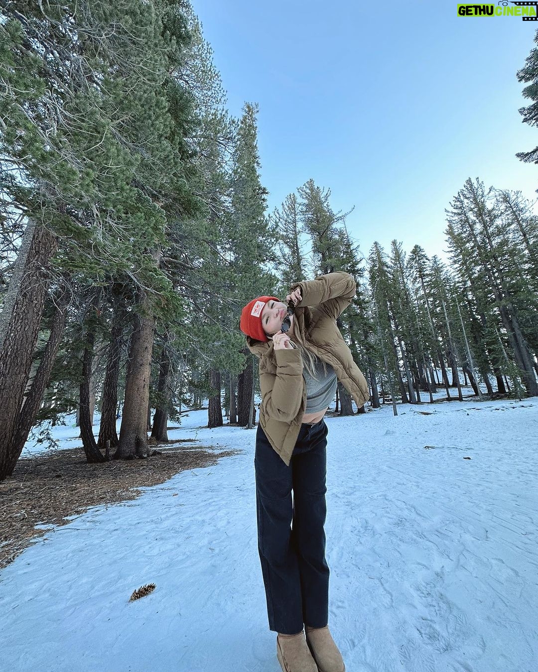 Pressley Hosbach Instagram - took a quick trip 🏔️ Mammoth Mountain