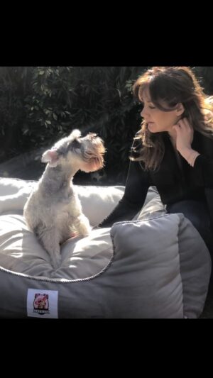 Priscilla Vargas Instagram - 🐾 Romeo fue parte de mi vida y me acompañó incondicionalmente.  Fue el mejor! Y me enseñó varias cosas:

1. Quédate con quien te mire como Romeo
2. Saluda efusivamente a quienes quieres
3. Para reconfortar a un amigo a veces sólo necesitas acompañarlo y escuchar.

Sé enfermó gravemente de los riñones, y eso le generó muchas complicaciones en el último mes. Hicimos lo posible por ayudarlo. Y es verdad que ha sido muy triste, se nos partió el corazón,  pero estoy tan agradecida de los casi 10 años de alegrías que nos regaló mi perrito que me siento orgullosa de haber sido su mamá. Prácticamente creció con mis niñitas, y me di cuenta que a diferencia de ellas, un perrito nunca deja de ser niño. Nos amábamos! 
Me tranquiliza que hoy tenga alas y esté en el cielo como el angelito que es. 
Mi Romeo estará siempre en mi corazón ❤️