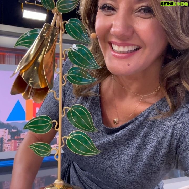Priscilla Vargas - 40K Likes - GRACIAS TOTALES a los amigos de @lacuartacom a mis compañeros de @tudia13 y a todos los que votaron por mi!! 🤗
Mi segundo #copihuedeoro ahora como Animadora del Año en @canal13cl .
Se pasaron!!!! ❤️