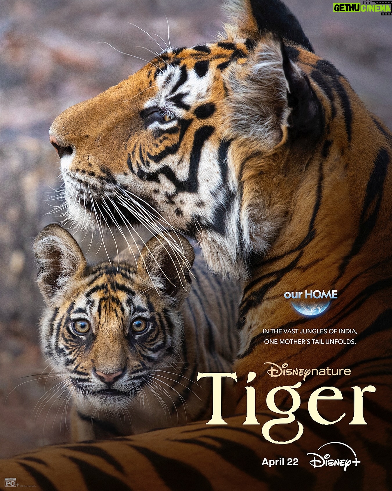 Priyanka Chopra Instagram - ‘Tiger’… a story that captures the wild and brings out everything that happens within it - tales of love, conflict, hunger, survival and so much more. In the bustling jungles of India, where creatures big and small, timid and majestic roam, there’s Ambar - a tiger with a timeless legacy. She cares for her cubs with so much ferocity that the beautiful bond between mother and child shines through so magnificently. This film was shot over 8 years following this amazing family. I had so much fun lending my voice to this incredible story and exploring the jungles through this film. I can’t wait for y’all to enjoy the jungle with us! ‘Tiger’ on your screens this Earth Day, 22nd April 🐅 @disneyplus #DisneyNature