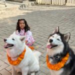 Priyanka Karki Instagram - कुकुर तिहार 🤍 Only love to all our fur babies 🖤 Snowie, Bella, Shadow and Cloud ⭐️🌙