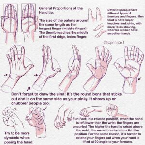 Qing Han Instagram - A new collection of hand references and some old hand tutorial ✌️😆
•
I love drawing hands~! Any body part you love to draw? Or even have trouble drawing?
•
I didn't actually plan on colouring them but here we are xD~ the tutorial's old but I stand by these tips still. I've just refined (I hope lol) the way I draw hands now.
Feel free to use for practice.
Tip: do 10 hands for 20 days and you'll improve them for sure!
I used to have trouble drawing feet but after doing 100 of them, I got much better and faster at them. And don't forget, you have your very own reference right at your fingertips. Get it? Haha....sorry 😂
•
Hope you guys find this useful and have a good holiday 😄
#tutorial #hands #fbf