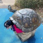 Qri Instagram – When I go to the zoo ⁎⁺˳🐆🐢🦒