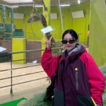 Qri Instagram – When I go to the zoo ⁎⁺˳🐆🐢🦒