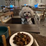 Qri Instagram – What‘s on the menu for dinner tonight? 🥘🐾