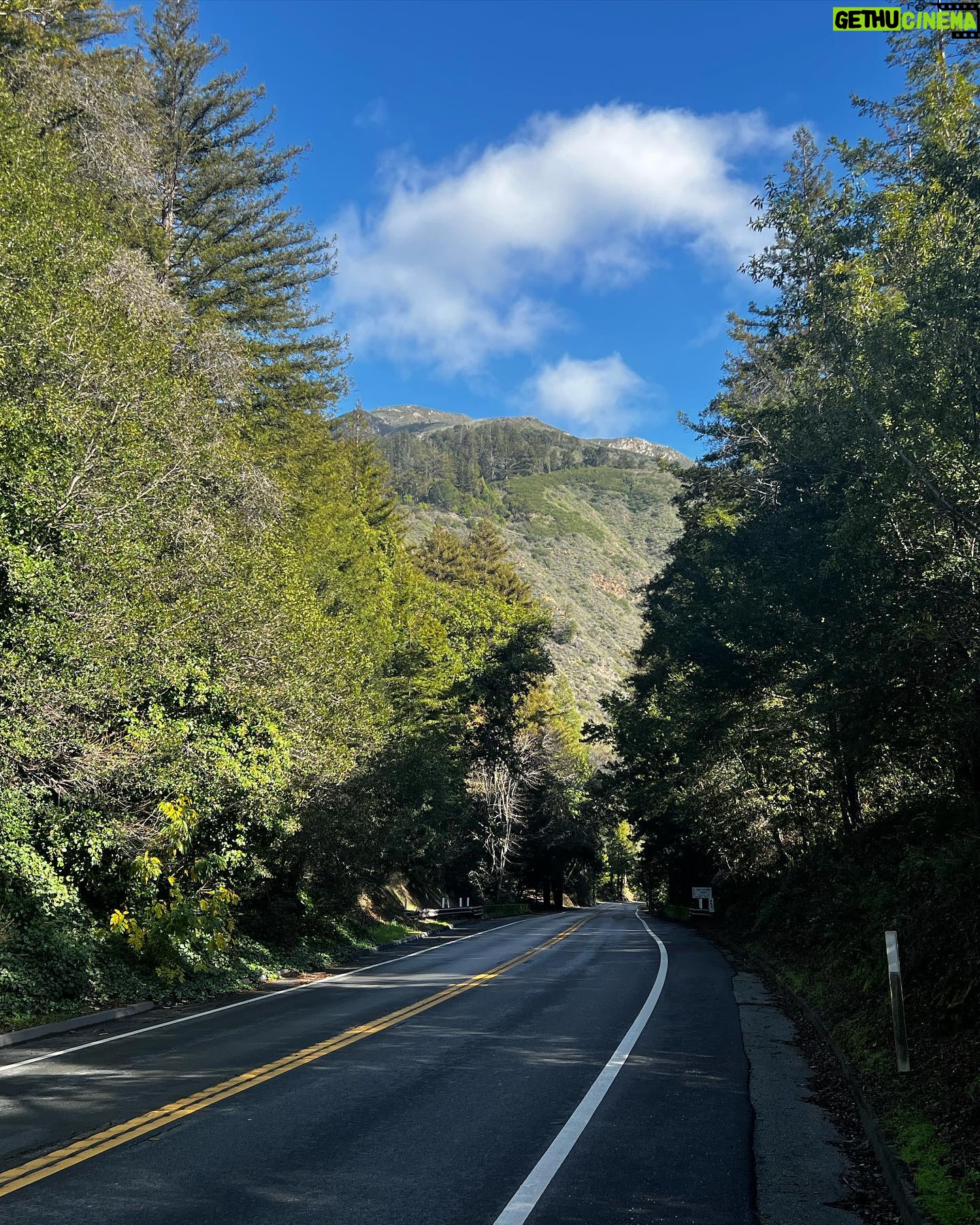 Quen Blackwell Instagram - I went to the woods for my bday…would HIGHLY recommend 🐛🐛