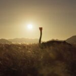 RAYE Instagram - Hans Zimmer and me and David Attenborough for Planet Earth 3 🌍😭 @hanszimmer thank you for letting me be part of this “forgive us Mother Nature for we know not what we do” ~ this lyric breaks my heart but reflects a series and a subject I’m so passionate about. I am so proud to be part of this, working along side these LEGENDS, and also to bastille for adding to the incredible music & score with Hans. wow 🥺
