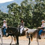 Rachel Bilson Instagram - We are all just horsing around. This truly speaks to my inner soul 🤠. @thisisthegreat_ @alisalranch THE GREAT OUTDOORS collection is out now 💛💛💛 @emilyandmeritt 📸 @morganpansing