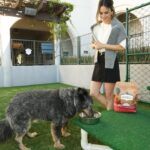 Rachel Bilson Instagram - #AD I’m proud to partner with @Nutrish to join in their mission of providing pets the opportunity to live a full and joyful life. With every bag of #Nutrish you purchase, you contribute to helping pets in need with food, care, medical supplies, treatments, and more through the Rachael Ray Foundation. Since 2019, The Rachael Ray Foundation has donated more than $7 million dollars a year to animal charities and organizations just like @pasadenahumane , giving pets the time and care they need to find their forever homes. ❤️🐶