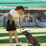 Rachel Bilson Instagram - #AD I’m proud to partner with @Nutrish to join in their mission of providing pets the opportunity to live a full and joyful life. With every bag of #Nutrish you purchase, you contribute to helping pets in need with food, care, medical supplies, treatments, and more through the Rachael Ray Foundation. Since 2019, The Rachael Ray Foundation has donated more than $7 million dollars a year to animal charities and organizations just like @pasadenahumane , giving pets the time and care they need to find their forever homes. ❤️🐶