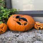 Rachel Bilson Instagram - Happy Halloween? 🫠