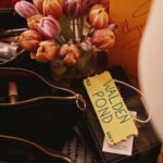 Rachel Brosnahan Instagram – We closed @thesignonbway on Sunday and, to quote the great @theritamoreno, it was a brave and moving time in my professional life.
When we began this journey back in December, we never could have imagined that we’d find such beautiful homes at both @bam_brooklyn and the James Earl Jones Theater. We never could have imagined that all these bold producers would take such leaps with this play and with us and that audiences would be so invested in this undersung manifesto of Lorraine Hansberry’s. And on a personal level, I never could have imagined how vital and nourishing this show would feel during a period of “tremendous change” as Iris says in the beginning of the play. I’m forever grateful to have felt so uplifted and cared for by our Sign family while our final @maiseltv chapter came to a close and to have gotten to celebrate with so many of you at the stage door.
I could go on (and on and on) but I’ll leave you with a few picture memories. Thank you.