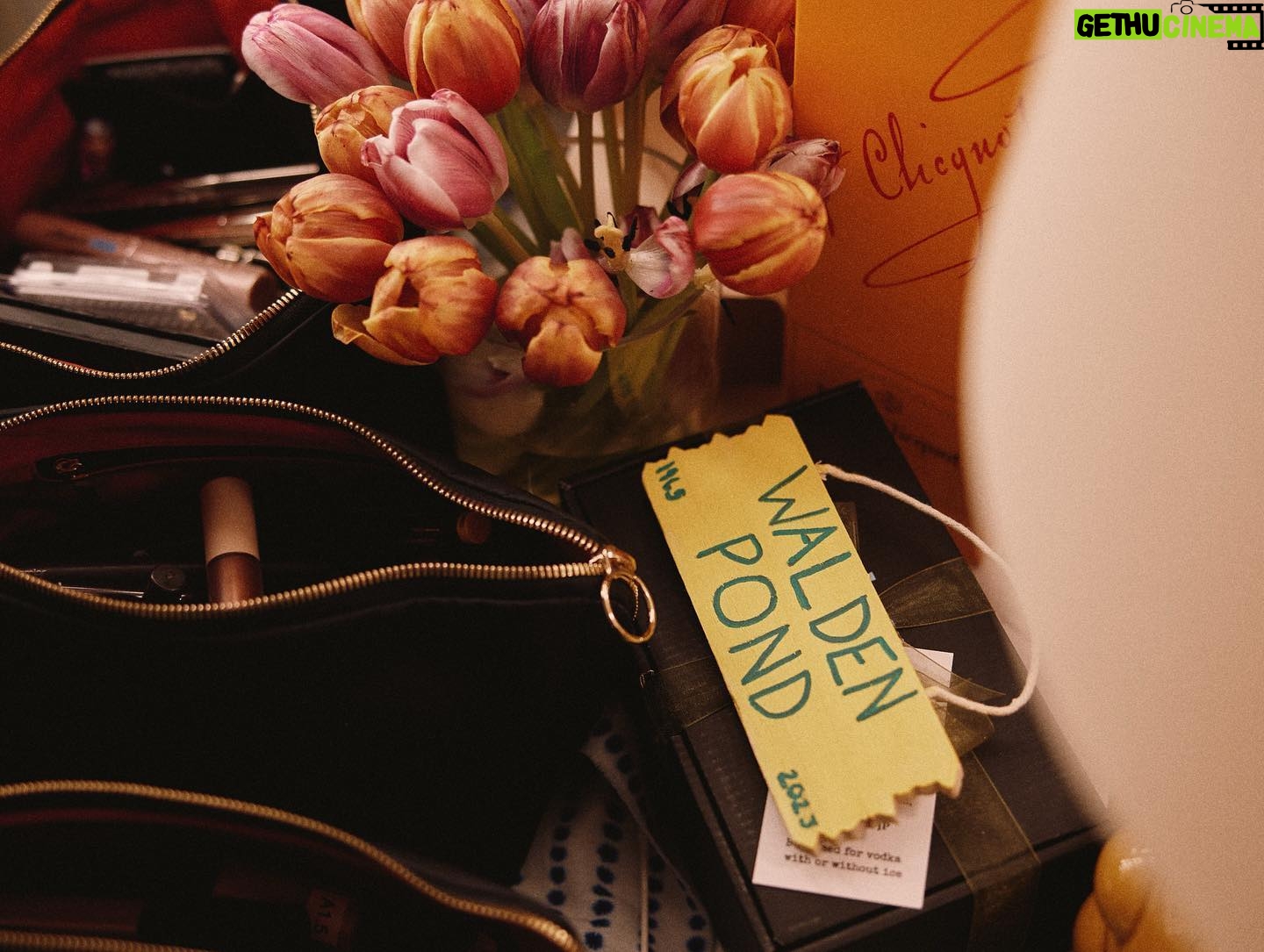 Rachel Brosnahan Instagram - We closed @thesignonbway on Sunday and, to quote the great @theritamoreno, it was a brave and moving time in my professional life. When we began this journey back in December, we never could have imagined that we’d find such beautiful homes at both @bam_brooklyn and the James Earl Jones Theater. We never could have imagined that all these bold producers would take such leaps with this play and with us and that audiences would be so invested in this undersung manifesto of Lorraine Hansberry’s. And on a personal level, I never could have imagined how vital and nourishing this show would feel during a period of “tremendous change” as Iris says in the beginning of the play. I’m forever grateful to have felt so uplifted and cared for by our Sign family while our final @maiseltv chapter came to a close and to have gotten to celebrate with so many of you at the stage door. I could go on (and on and on) but I’ll leave you with a few picture memories. Thank you.