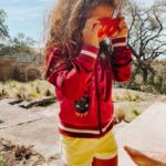 Rachel Hollis Instagram - Our wildflower turns 6 today 🌻