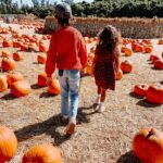 Rachel Hollis Instagram – Life lately 🍁🍂