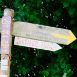 Rachel Hollis Instagram - I’ve dreamed of walking the Camino de Santiago for YEARS but couldn’t figure out how to pull it off with four kids (The 500 mile pilgrimage typically takes at least 40 days) But, for the first time ever, all my kids are at summer camp at the same time!! So I realized —while not conventional— I could take on the Camino in stages. So… Flew to Spain and started walking. 20 miles. Then 13 miles. Then 16 more. Drank a lot of espresso. Ate a lot of bread and cheese. Stayed the night in Pensions. Drank more coffee. And beer. And pintxos… so many pintxos. Broke out in tremendous blisters and hives (more on that later) kept freaking walking. Ancient roads from the 1100’s. The most beautiful Basque Country you can imagine. One million cowbells tinkling as you pass. Random strangers who offer you coffee and invite you in to use their restroom. Buen Camino! So hard. So good. So grateful. Gracias por todo. Eskerrik asko. What a memory! ✨ Until next time… #caminodesantiago