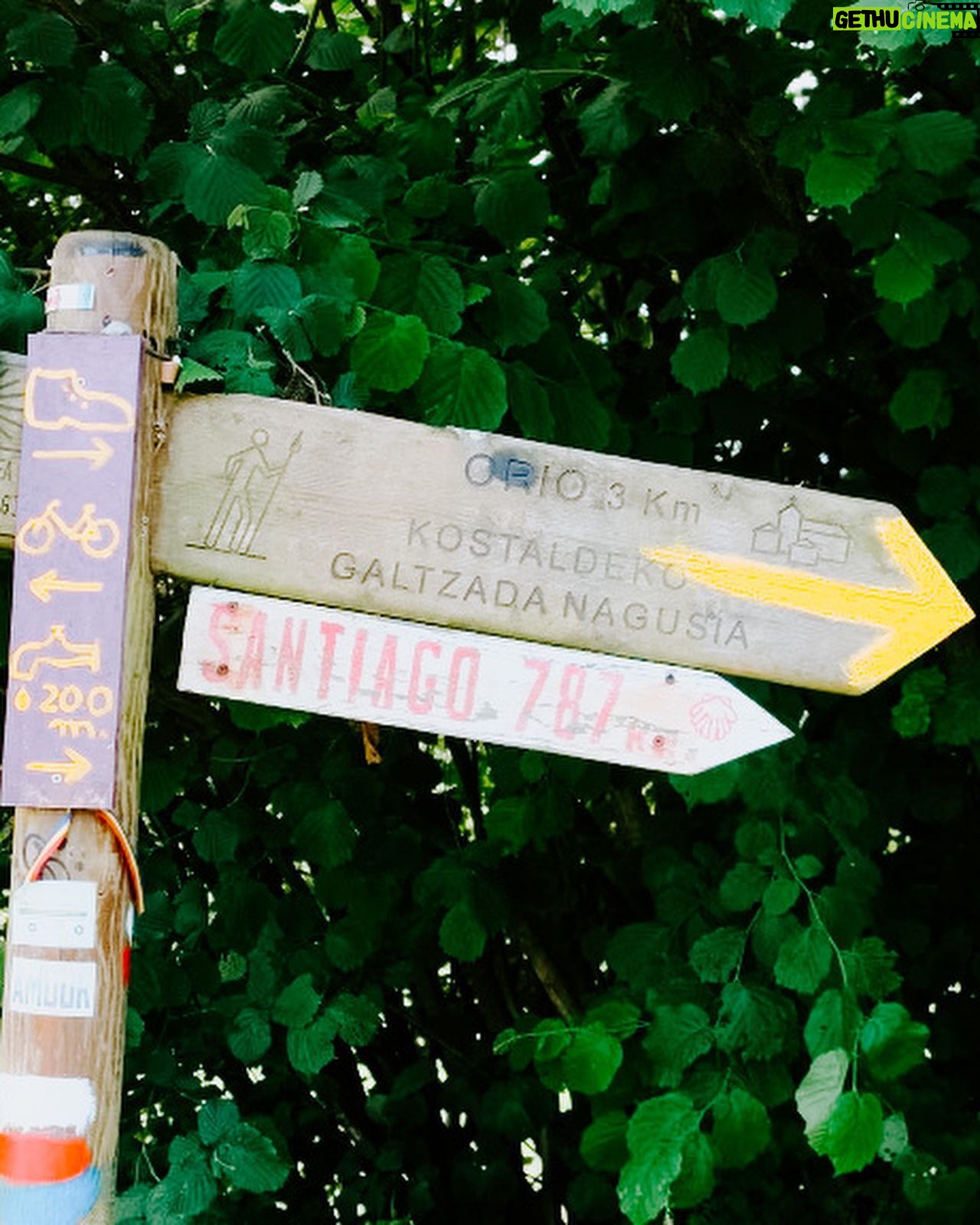 Rachel Hollis Instagram - I’ve dreamed of walking the Camino de Santiago for YEARS but couldn’t figure out how to pull it off with four kids (The 500 mile pilgrimage typically takes at least 40 days) But, for the first time ever, all my kids are at summer camp at the same time!! So I realized —while not conventional— I could take on the Camino in stages. So… Flew to Spain and started walking. 20 miles. Then 13 miles. Then 16 more. Drank a lot of espresso. Ate a lot of bread and cheese. Stayed the night in Pensions. Drank more coffee. And beer. And pintxos… so many pintxos. Broke out in tremendous blisters and hives (more on that later) kept freaking walking. Ancient roads from the 1100’s. The most beautiful Basque Country you can imagine. One million cowbells tinkling as you pass. Random strangers who offer you coffee and invite you in to use their restroom. Buen Camino! So hard. So good. So grateful. Gracias por todo. Eskerrik asko. What a memory! ✨ Until next time… #caminodesantiago