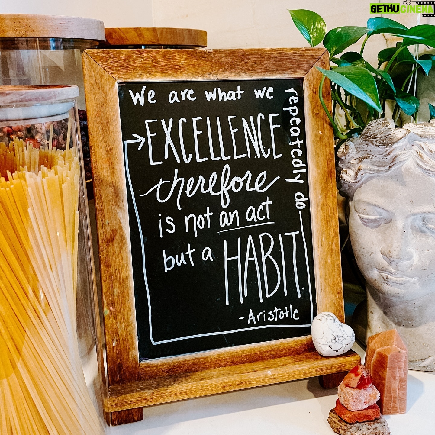 Rachel Hollis - 3 Likes - “We are what we repeatedly do. Excellence, therefore, is not an act but a habit.” -Aristotle