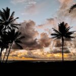 Rachel Hollis Instagram – Got to sneak away to our favorite place this weekend. Our first chance to visit Oahu this year as a family.

I’m so grateful —as always— to this island for providing a place to heal and laugh and dream and just… be. ✨