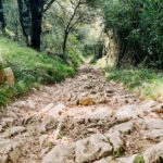 Rachel Hollis Instagram - I’ve dreamed of walking the Camino de Santiago for YEARS but couldn’t figure out how to pull it off with four kids (The 500 mile pilgrimage typically takes at least 40 days) But, for the first time ever, all my kids are at summer camp at the same time!! So I realized —while not conventional— I could take on the Camino in stages. So… Flew to Spain and started walking. 20 miles. Then 13 miles. Then 16 more. Drank a lot of espresso. Ate a lot of bread and cheese. Stayed the night in Pensions. Drank more coffee. And beer. And pintxos… so many pintxos. Broke out in tremendous blisters and hives (more on that later) kept freaking walking. Ancient roads from the 1100’s. The most beautiful Basque Country you can imagine. One million cowbells tinkling as you pass. Random strangers who offer you coffee and invite you in to use their restroom. Buen Camino! So hard. So good. So grateful. Gracias por todo. Eskerrik asko. What a memory! ✨ Until next time… #caminodesantiago