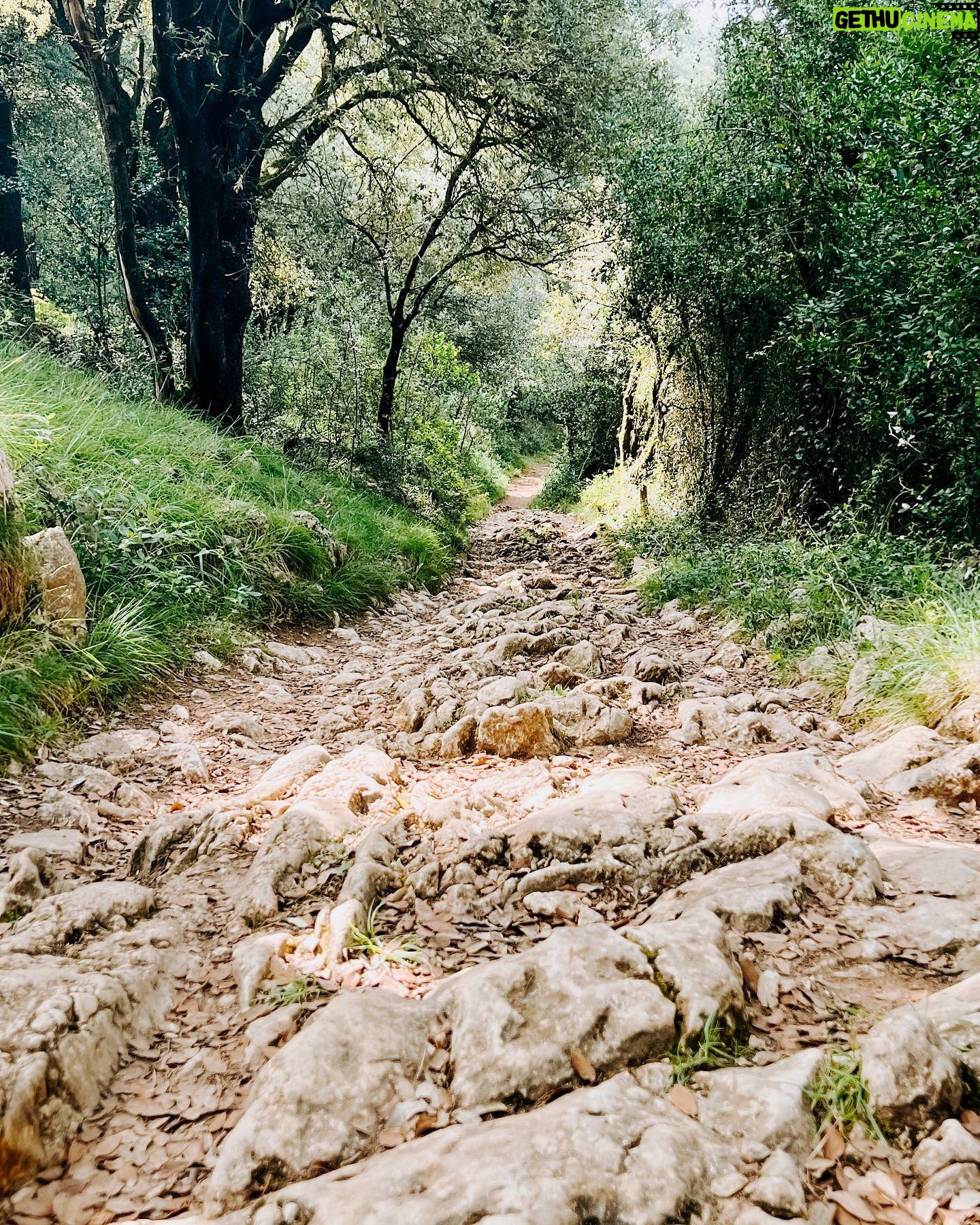 Rachel Hollis Instagram - I’ve dreamed of walking the Camino de Santiago for YEARS but couldn’t figure out how to pull it off with four kids (The 500 mile pilgrimage typically takes at least 40 days) But, for the first time ever, all my kids are at summer camp at the same time!! So I realized —while not conventional— I could take on the Camino in stages. So… Flew to Spain and started walking. 20 miles. Then 13 miles. Then 16 more. Drank a lot of espresso. Ate a lot of bread and cheese. Stayed the night in Pensions. Drank more coffee. And beer. And pintxos… so many pintxos. Broke out in tremendous blisters and hives (more on that later) kept freaking walking. Ancient roads from the 1100’s. The most beautiful Basque Country you can imagine. One million cowbells tinkling as you pass. Random strangers who offer you coffee and invite you in to use their restroom. Buen Camino! So hard. So good. So grateful. Gracias por todo. Eskerrik asko. What a memory! ✨ Until next time… #caminodesantiago