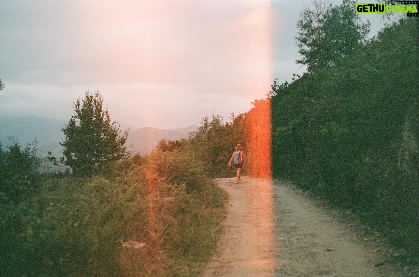 Rachel Hollis Instagram - the last of summer. on film.