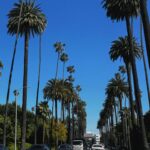 Rachel Zegler Instagram – it’s fine! it’s cool