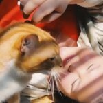Rafaela Ferreira Instagram - Nada como voltar de viagem e reencontrar o amorzinho da minha vida! 😻❤️