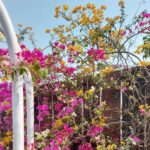 Rafiath Rashid Mithila Instagram - বসন্ত 🌼🏵️🌺